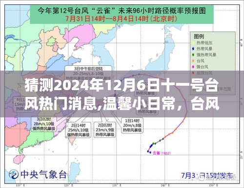 猜测2024年12月6日十一号台风热门消息,温馨小日常，台风热门消息与家的纽带