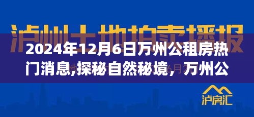 揭秘万州公租房背后的故事，心灵之旅探寻自然秘境的热门消息