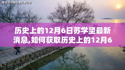 历史上的12月6日苏学坚最新消息获取指南