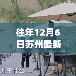 苏州秘境探索，寻找内心的宁静与自然之旅的启示（最新报告）