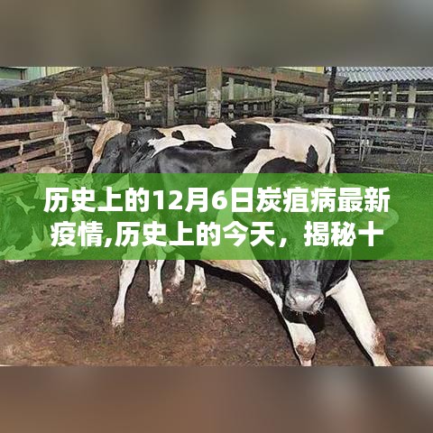 揭秘历史上的炭疽病疫情，十二月六日炭疽病最新疫情回顾与解析