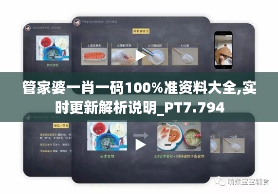 管家婆一肖一码100%准资料大全,实时更新解析说明_PT7.794