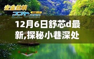 独家揭秘，舒芯小巷深处的独特风味——最新报道（12月6日）