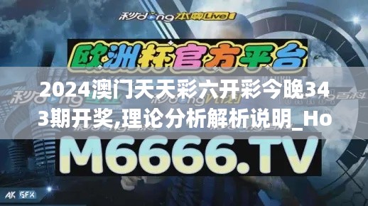 2024澳门天天彩六开彩今晚343期开奖,理论分析解析说明_Holo5.519