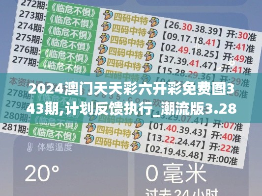 2024澳门天天彩六开彩免费图343期,计划反馈执行_潮流版3.286