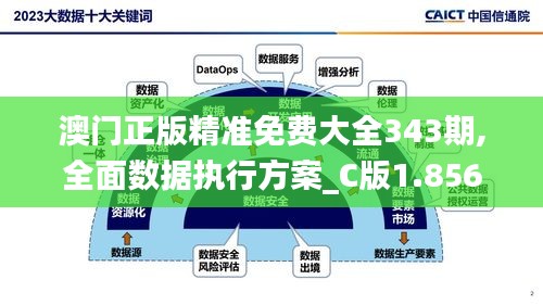 澳门正版精准免费大全343期,全面数据执行方案_C版1.856