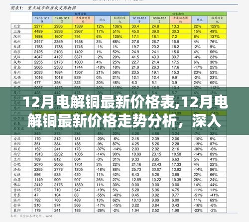 2024年12月9日 第20页