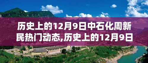 揭秘历史上的12月9日中石化周新民热门动态揭秘与详细步骤指南