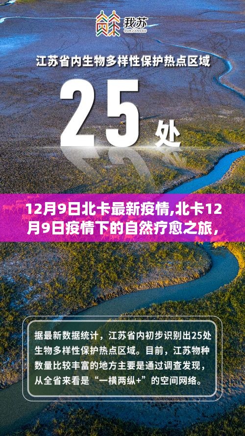 北卡疫情下的自然疗愈之旅，寻找内心的宁静与力量（12月9日最新疫情）