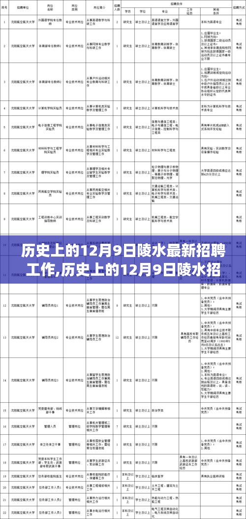 历史上的12月9日陵水招聘深度洞察，最新工作与观点阐述