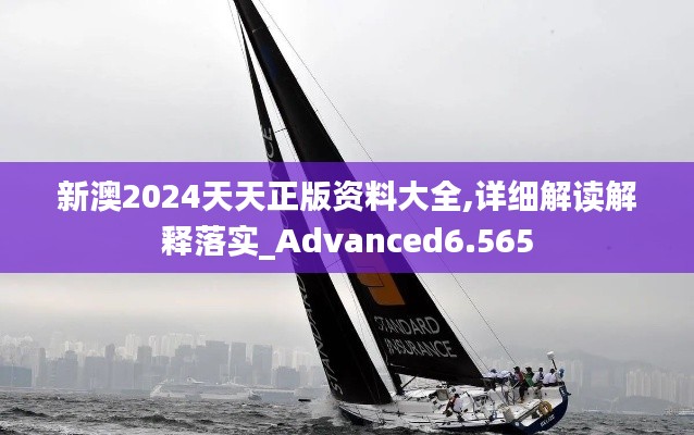 新澳2024天天正版资料大全,详细解读解释落实_Advanced6.565