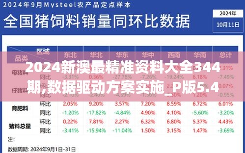 2024新澳最精准资料大全344期,数据驱动方案实施_P版5.467