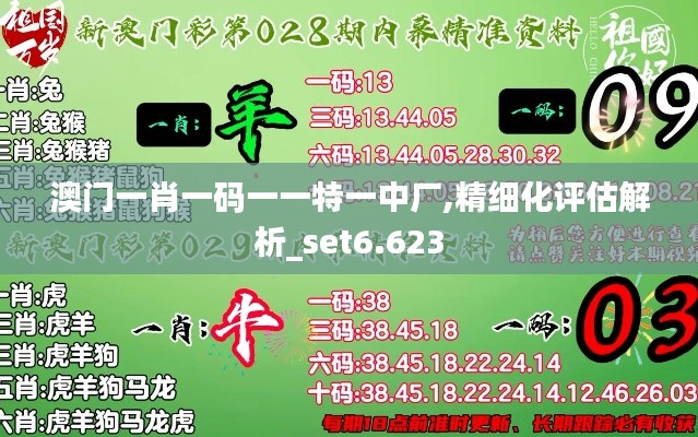 澳门一肖一码一一特一中厂,精细化评估解析_set6.623