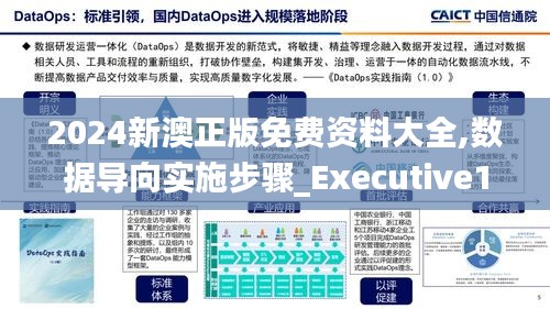 2024新澳正版免费资料大全,数据导向实施步骤_Executive18.173