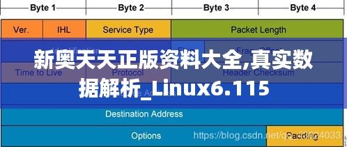 2024年12月10日 第58页