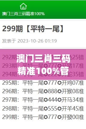 澳门三肖三码精准100%管家婆,实证分析解释定义_Elite2.222