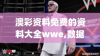 澳彩资料免费的资料大全wwe,数据设计驱动执行_X7.236