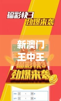 新澳门王中王100%期期中,仿真方案实现_入门版5.417