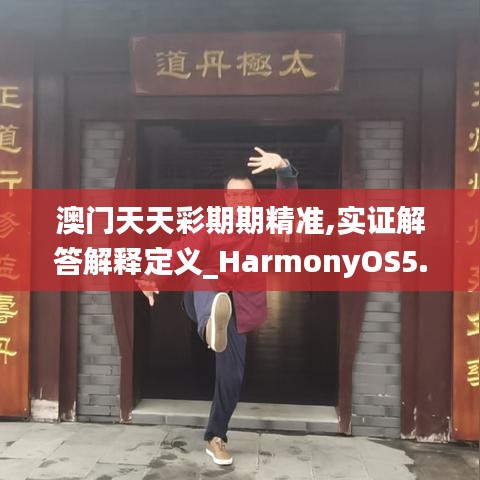 澳门天天彩期期精准,实证解答解释定义_HarmonyOS5.184