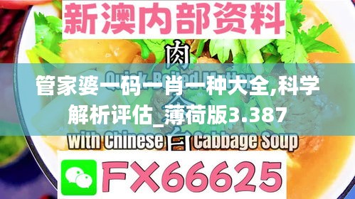 管家婆一码一肖一种大全,科学解析评估_薄荷版3.387