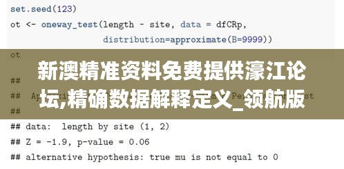 新澳精准资料免费提供濠江论坛,精确数据解释定义_领航版8.468