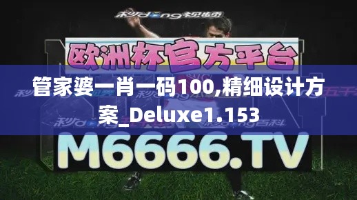 管家婆一肖一码100,精细设计方案_Deluxe1.153