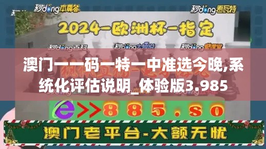 澳门一一码一特一中准选今晚,系统化评估说明_体验版3.985