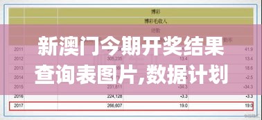 新澳门今期开奖结果查询表图片,数据计划引导执行_Phablet14.783