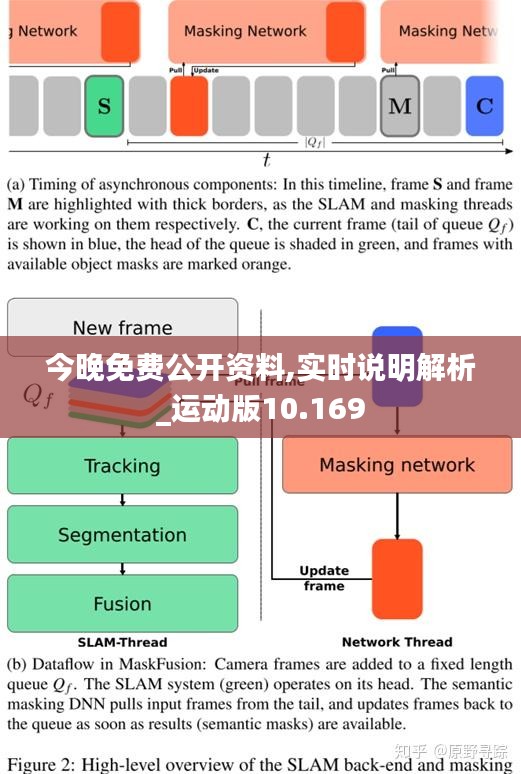 今晚免费公开资料,实时说明解析_运动版10.169