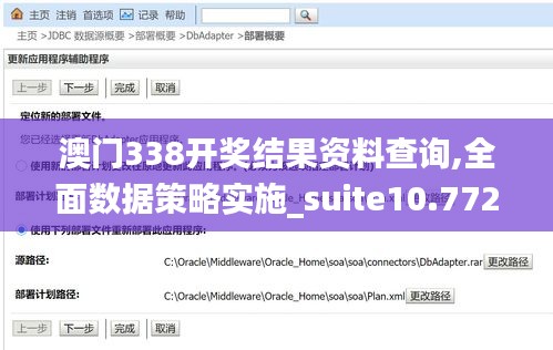 澳门338开奖结果资料查询,全面数据策略实施_suite10.772