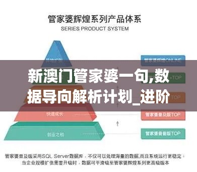 新澳门管家婆一句,数据导向解析计划_进阶版12.981