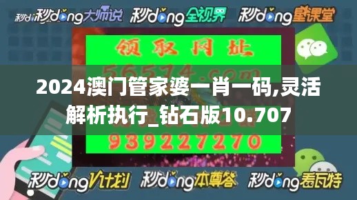 2024澳门管家婆一肖一码,灵活解析执行_钻石版10.707