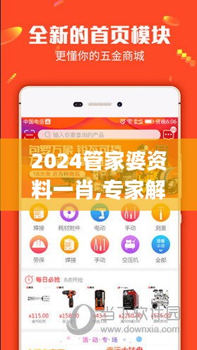 2024管家婆资料一肖,专家解读说明_N版2.717