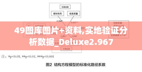 49图库图片+资料,实地验证分析数据_Deluxe2.967