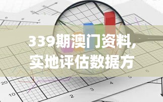 339期澳门资料,实地评估数据方案_投资版5.440