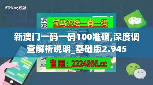 新澳门一码一码100准确,深度调查解析说明_基础版2.945