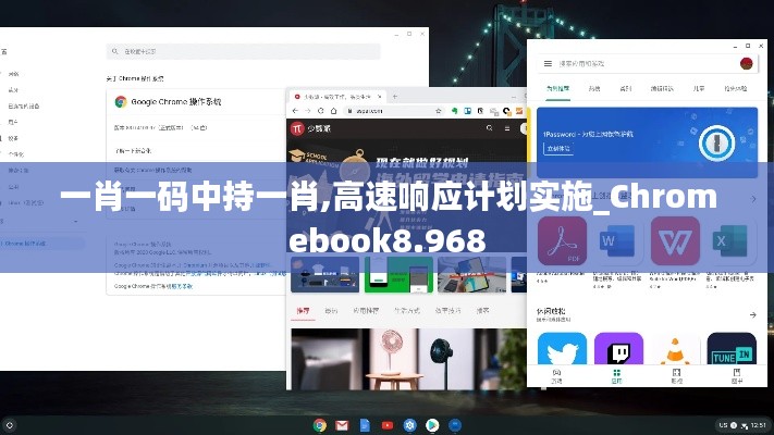 一肖一码中持一肖,高速响应计划实施_Chromebook8.968