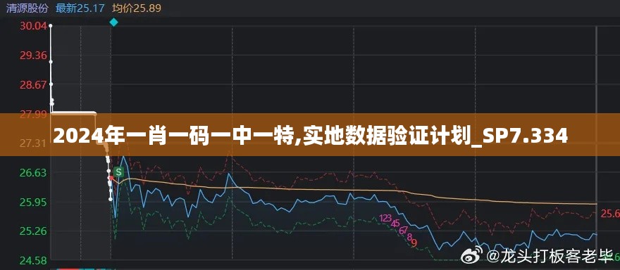 2024年一肖一码一中一特,实地数据验证计划_SP7.334