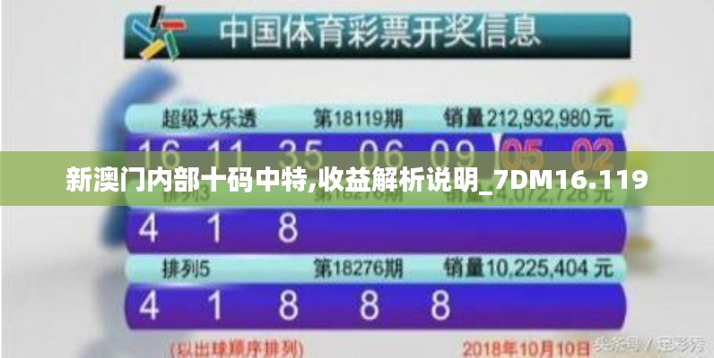 新澳门内部十码中特,收益解析说明_7DM16.119