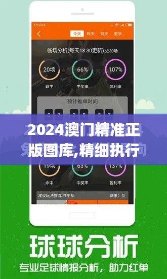 2024澳门精准正版图库,精细执行计划_4DM12.473