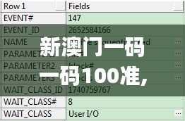 新澳门一码一码100准,实践分析解释定义_精装版6.524