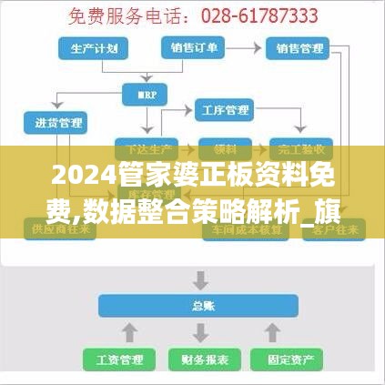 2024管家婆正板资料免费,数据整合策略解析_旗舰款2.171