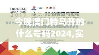 今晚澳门特马开的什么号码2024,实地分析考察数据_NE版4.310