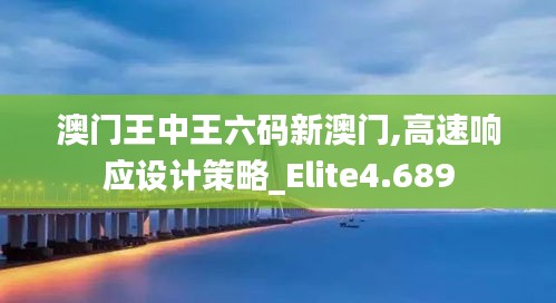 澳门王中王六码新澳门,高速响应设计策略_Elite4.689