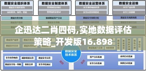 企迅达二肖四码,实地数据评估策略_开发版16.898