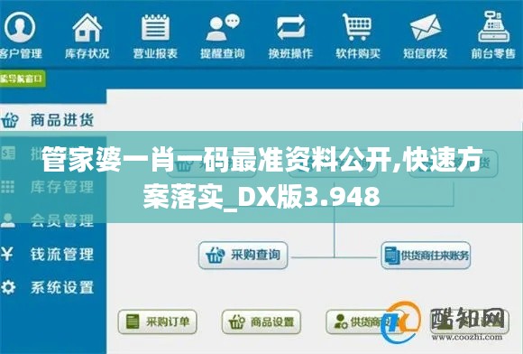 管家婆一肖一码最准资料公开,快速方案落实_DX版3.948