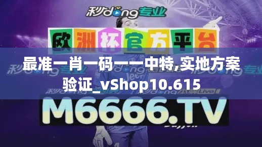 最准一肖一码一一中特,实地方案验证_vShop10.615