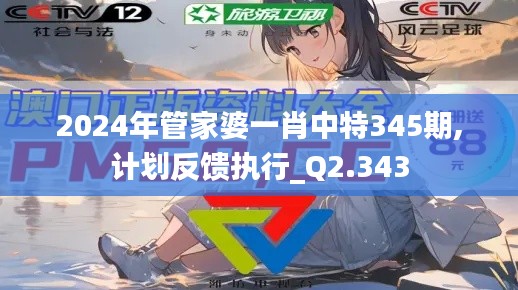 2024年管家婆一肖中特345期,计划反馈执行_Q2.343