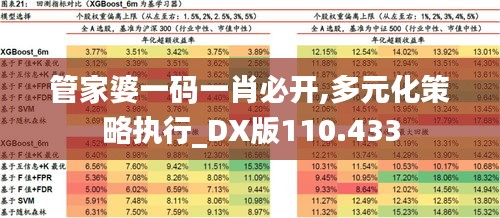 管家婆一码一肖必开,多元化策略执行_DX版110.433