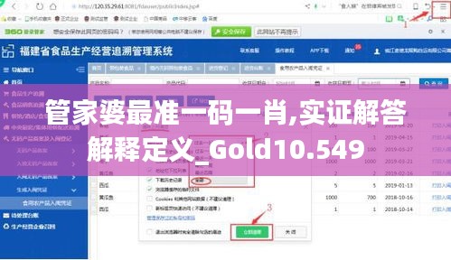 管家婆最准一码一肖,实证解答解释定义_Gold10.549